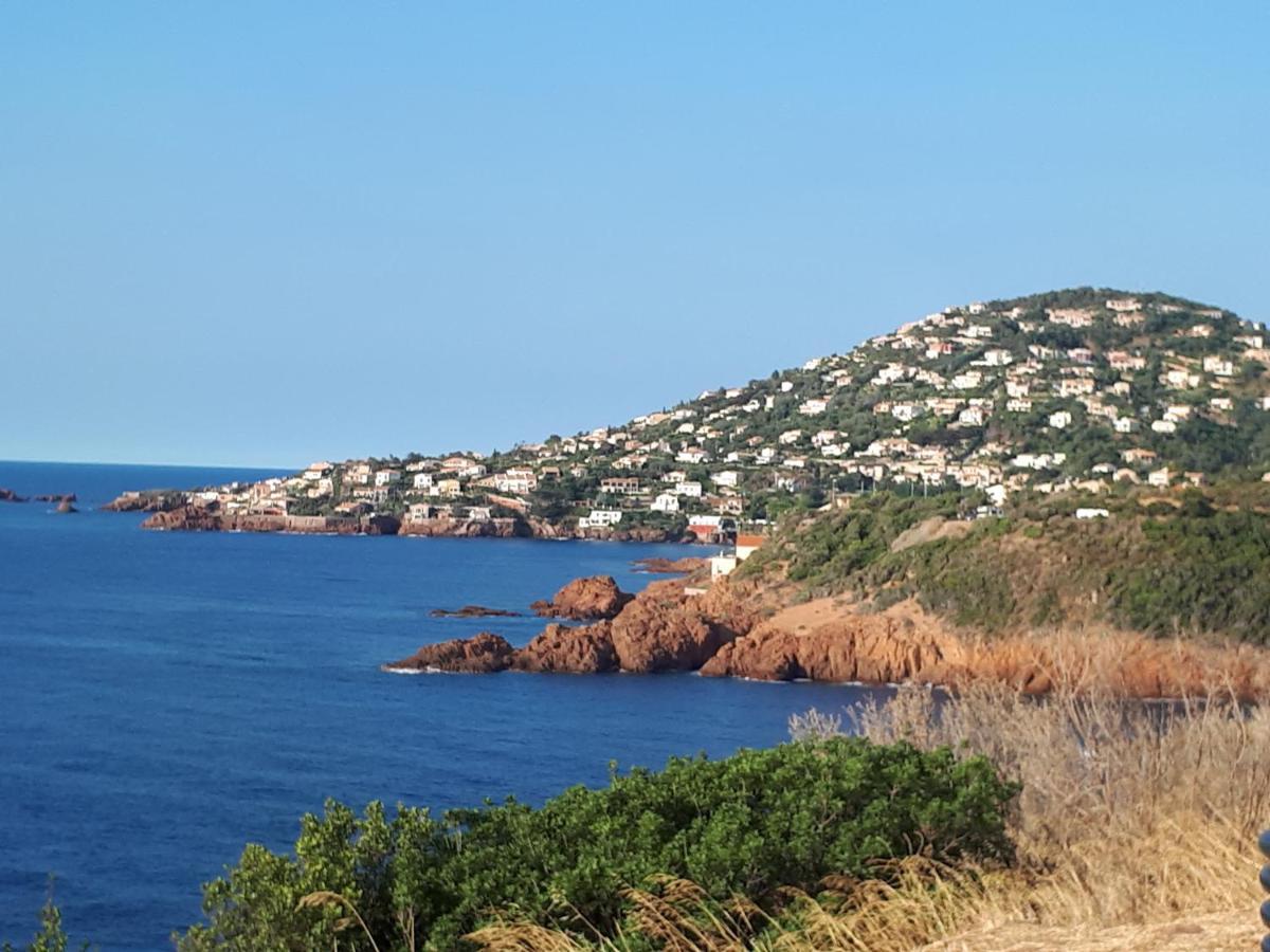 Frejus Plage T2, Piscine, Parking, Plages A 200M Buitenkant foto
