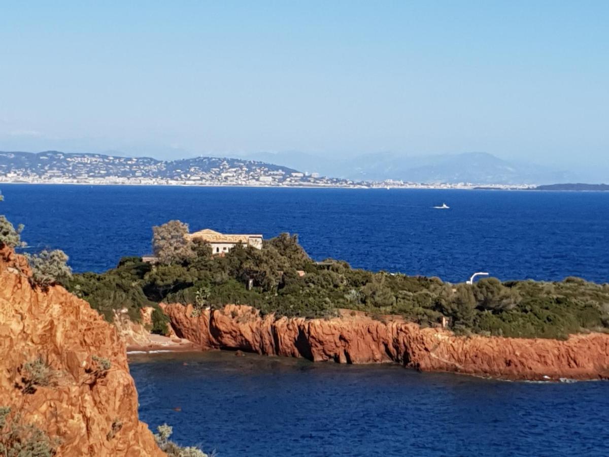 Frejus Plage T2, Piscine, Parking, Plages A 200M Buitenkant foto