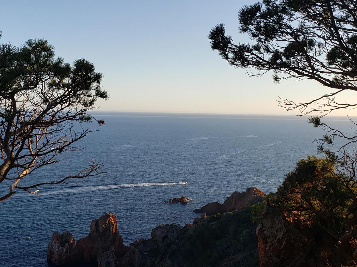 Frejus Plage T2, Piscine, Parking, Plages A 200M Buitenkant foto